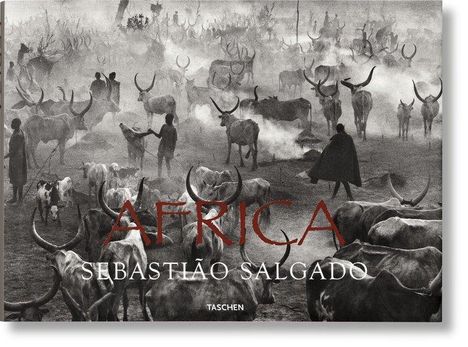 Sebastiao Salgado: Couto, M: Sebastião Salgado. Africa, Buch