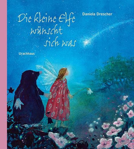 Daniela Drescher: Die kleine Elfe wünscht sich was, Buch