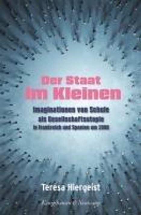 Teresa Hiergeist: Der Staat im Kleinen, Buch