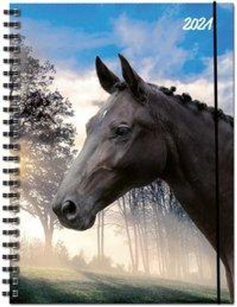 Terminplaner Pferd 2021, Buch