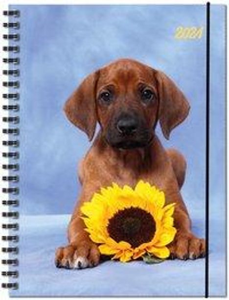 Terminplaner Hund 2021, Buch