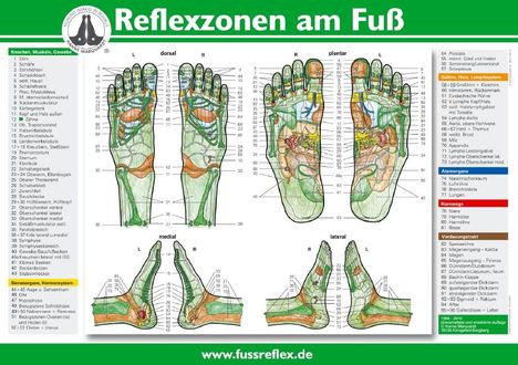 "Reflexzonen am Fuß" mit detaillierten Fußillustrationen und nummerierten Reflexzonen, Webseite: www.fussreflex.de.