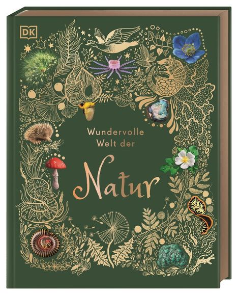 Ben Hoare: Wundervolle Welt der Natur, Buch