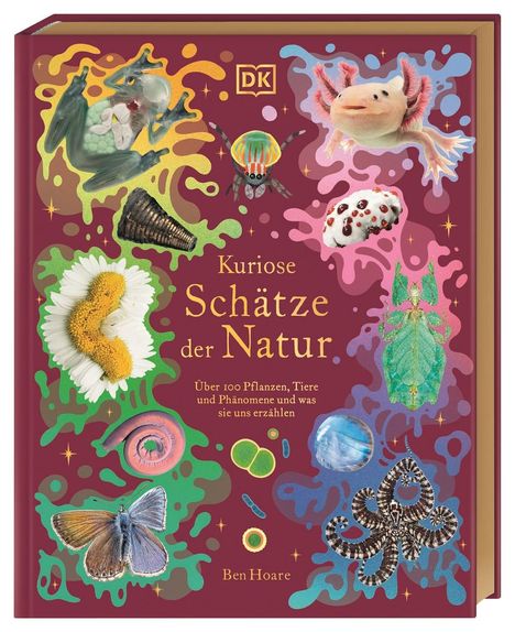 Ben Hoare: Kuriose Schätze der Natur, Buch