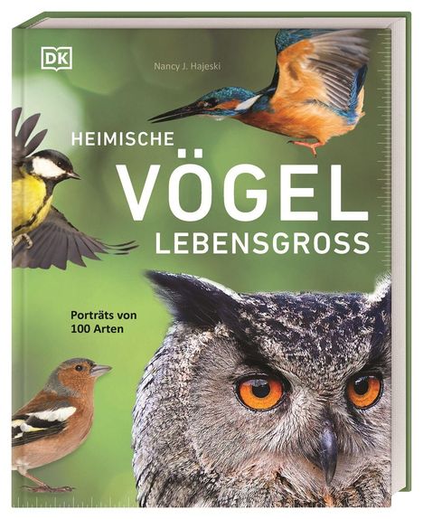 Nancy J. Hajeski: Heimische Vögel lebensgroß, Buch