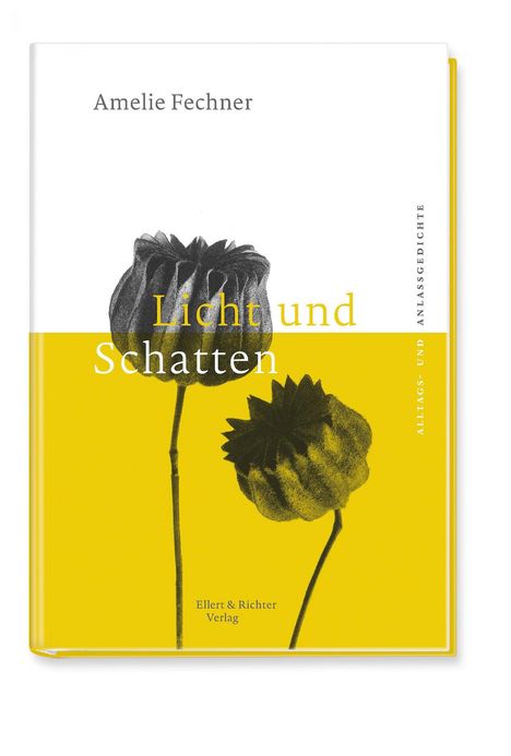 Amelie Fechner: Licht und Schatten, Buch