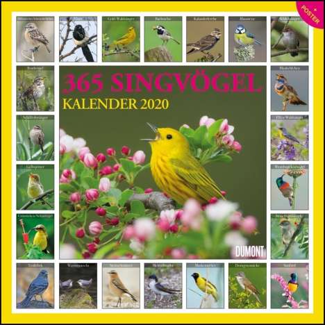 365 Singvögel 2020 - Broschürenkalender - Wandkalender - mit Poster - Format 30 x 30 cm, Diverse