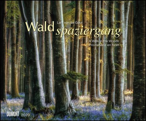 Waldspaziergang 2020 - Fotokunst-Kalender - Querformat 58,4 x 48,5 cm - Spiralbindung, Diverse