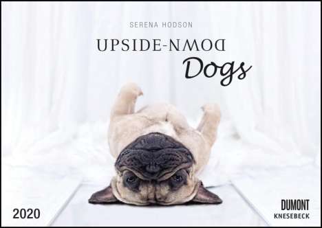 Upside-Down Dogs 2020 - Hunde stehen Kopf - Von Serena Hodson - Wandkalender - Format 29,7 x 42 cm, Diverse