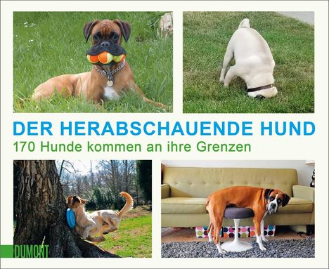 Der herabschauende Hund, Buch