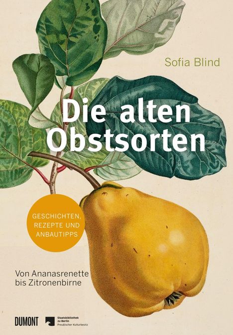 Sofia Blind: Die alten Obstsorten, Buch