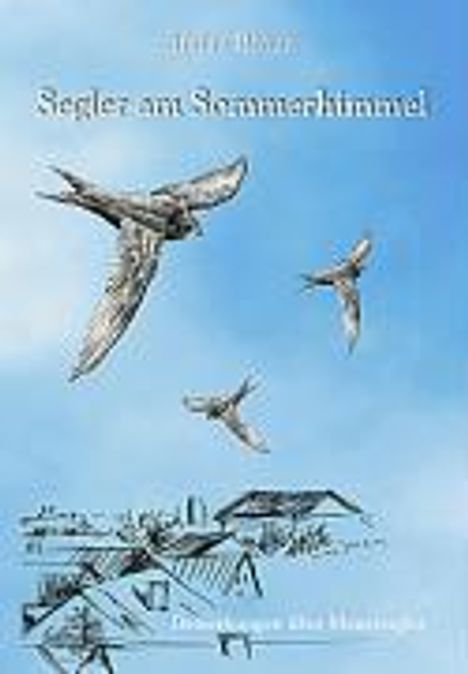 Stefan Bosch: Segler am Sommerhimmel, Buch