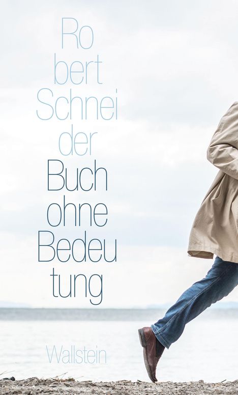 Robert Schneider: Buch ohne Bedeutung, Buch