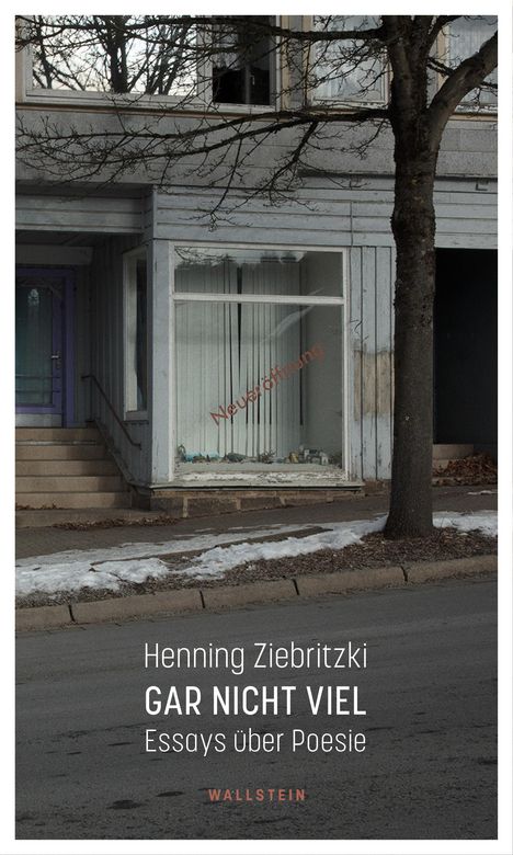 Henning Ziebritzki: Gar nicht viel, Buch