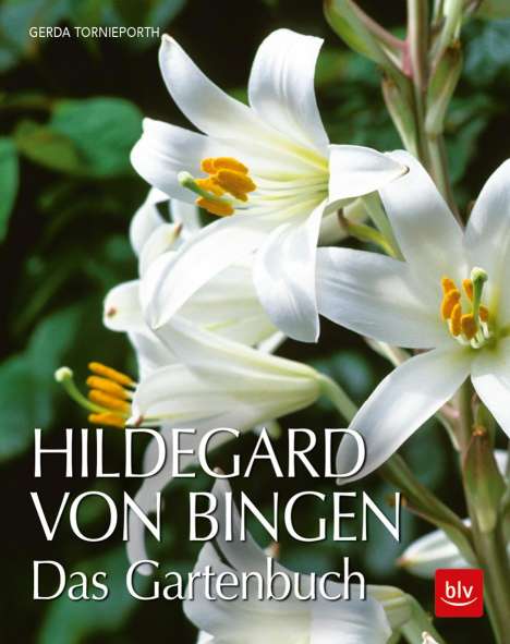 Gerda Tornieporth: Hildegard von Bingen, Buch