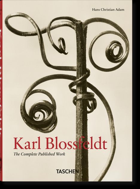 Hans Christian Adam: Blossfeldt. 40th Ed., Buch