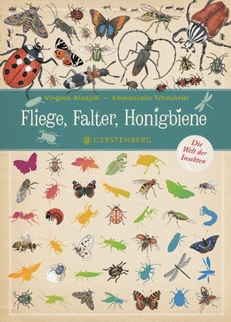 Virginie Aladjidi: Fliege, Falter, Honigbiene, Buch