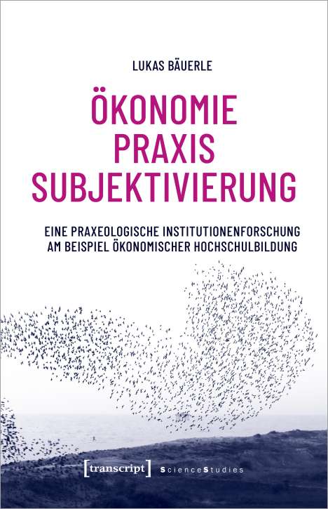 Lukas Bäuerle: Ökonomie - Praxis - Subjektivierung, Buch