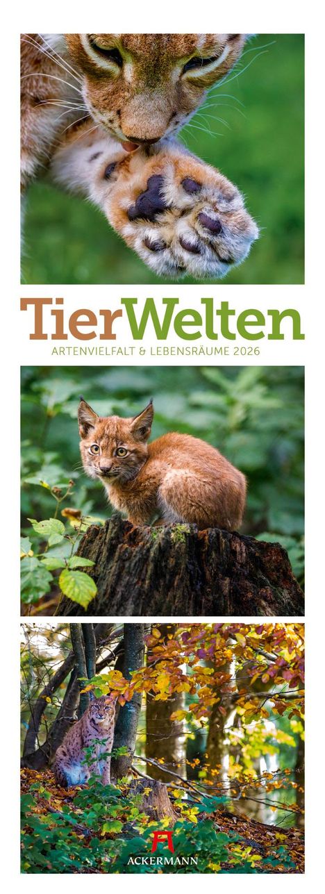 Ackermann Kunstverlag GmbH: Tierwelten Triplet-Kalender 2026, Kalender