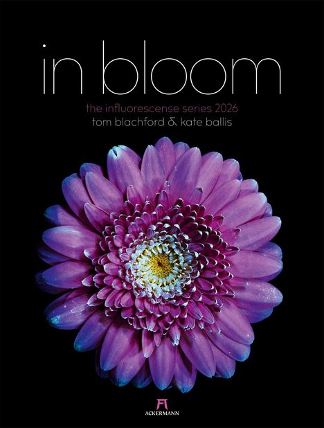 Tom Blachford: in bloom Kalender 2026, Kalender