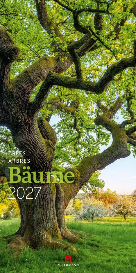 "Bäume 2027" zeigt einen großen Baum mit verzweigten Ästen in einer grünen Wiese, im Hintergrund blühende Bäume.