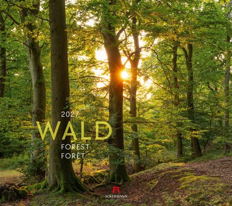 "2027 WALD FOREST FORÊT" steht auf einer ruhigen Waldszene, Sonnenlicht bricht durch Bäume. Unten ein rotes Ackermann-Logo.
