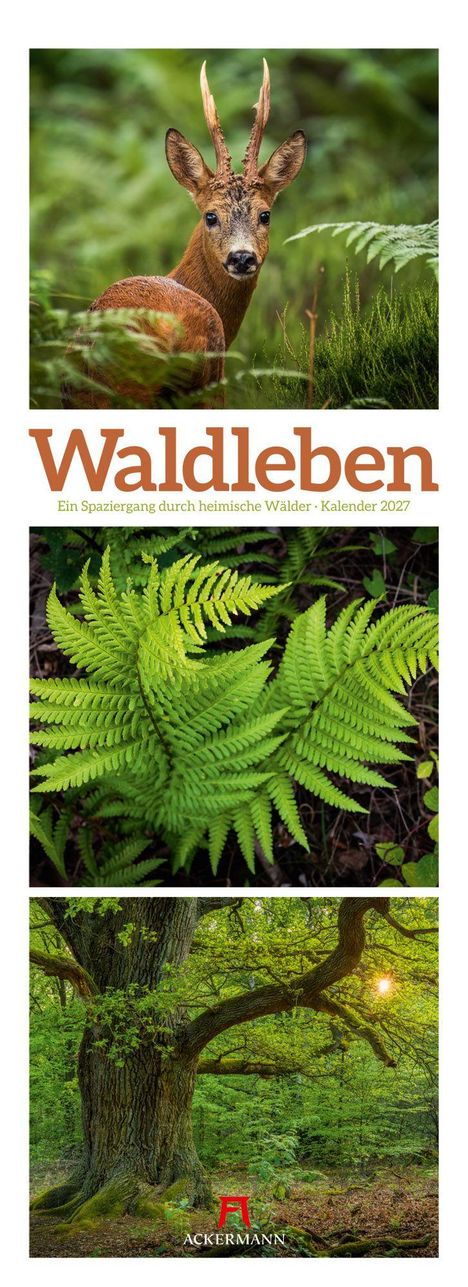 "Wildleben. Ein Spaziergang durch heimische Wälder · Kalender 2027." Ein Reh, Farne und ein Baum im Wald. Ackermann-Logo.