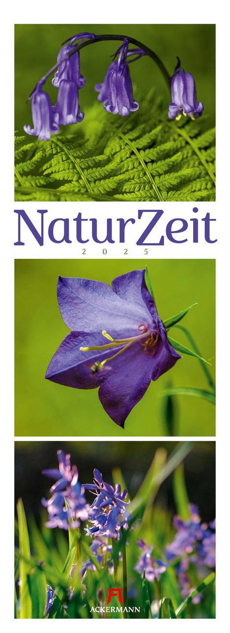 Ackermann Kunstverlag: NaturZeit Triplet-Kalender 2025, Kalender