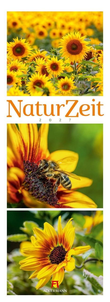 „NaturZeit 2027“. Mehrere Fotografien von leuchtend gelben Sonnenblumen und einer Biene auf einer Blüte.