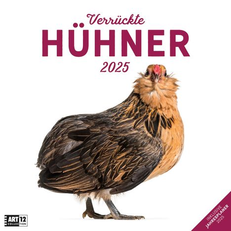 Ackermann Kunstverlag: Verrückte Hühner Kalender 2025 - 30x30, Kalender