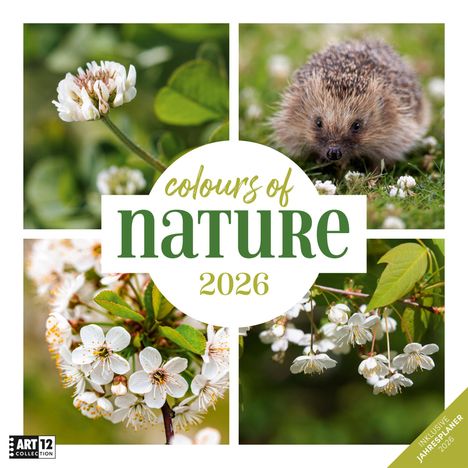 Ackermann Kunstverlag GmbH: Colours of Nature Kalender 2026 - 30x30, Kalender