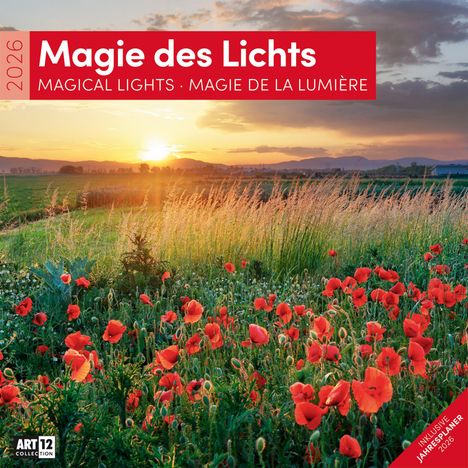 Ackermann Kunstverlag GmbH: Magie des Lichts Kalender 2026 - 30x30, Kalender