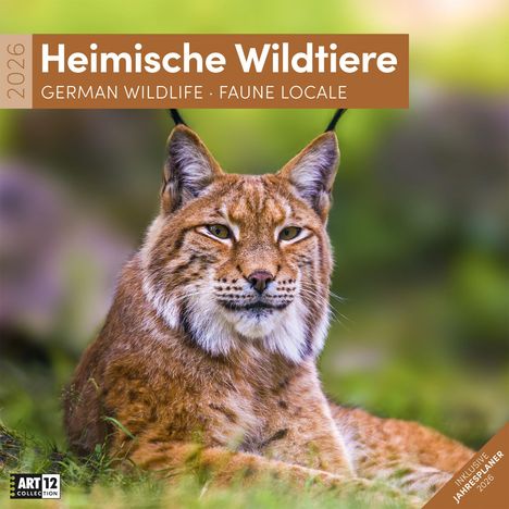 Ackermann Kunstverlag GmbH: Heimische Wildtiere Kalender 2026 - 30x30, Kalender