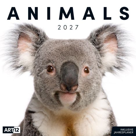 Großer Text: "ANIMALS 2027". Darunter: Ein Koala mit flauschigem Fell schaut direkt nach vorne.