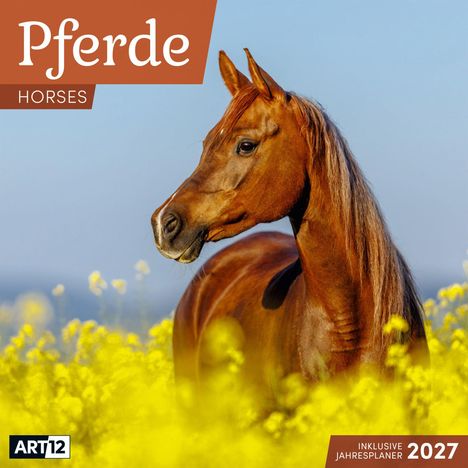 Text: "Pferde, HORSES, inklusive Jahresplaner 2027." Ein braunes Pferd im gelben Blumenfeld vor blauem Himmel.
