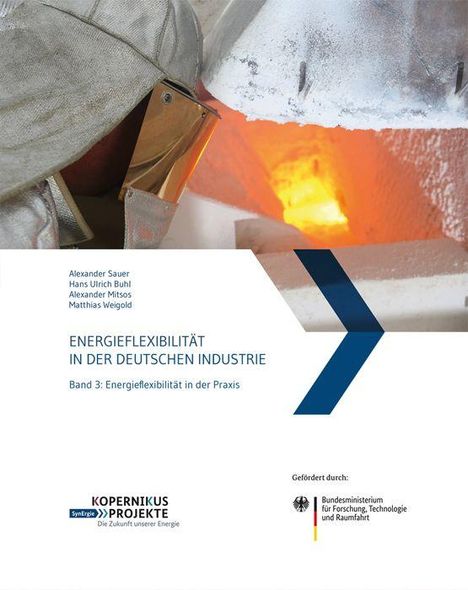 "Energieflexibilität in der deutschen Industrie. Band 3: Energieflexibilität in der Praxis." Logos: "Kopernikus Projekte" und "Bundesministerium".