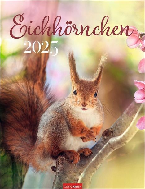 Eichhörnchen Kalender 2025, Kalender