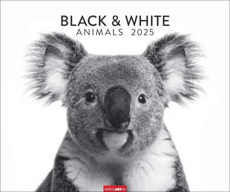 Black &amp; White Animals 2025, Kalender