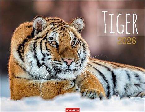 Tiger Kalender 2026, Kalender