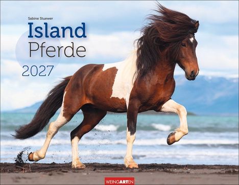 "Sabine Stuewer, Island Pferde 2027". Ein geschecktes Islandpferd galoppiert am Strand vor blauem Wasser und Bergen.