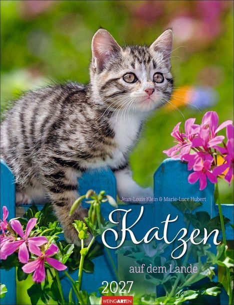 "Katzen auf dem Lande 2027" von Jean-Louis Klein & Marie-Luce Hubert. Junge Katze auf blauer Zaunstange, rosa Blüten.