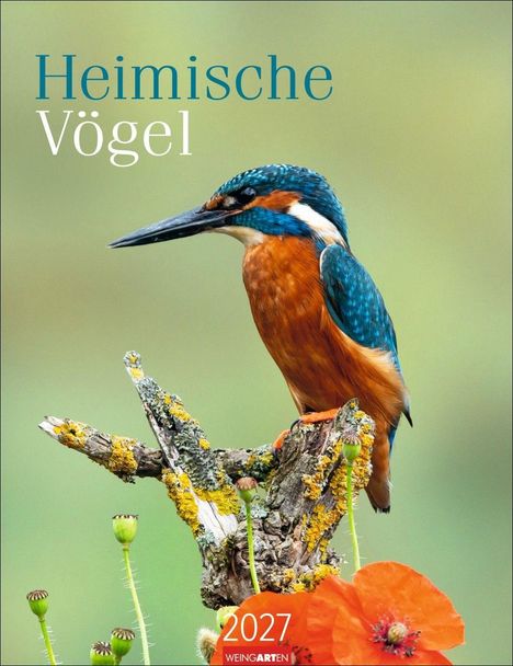 „Heimische Vögel“ und „2027“. Ein Eisvogel sitzt auf einem mit Flechten bedeckten Ast, umgeben von Mohnblumen.