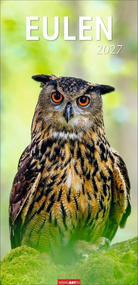 "EULEN 2027". Eine Eule mit großen, orangefarbenen Augen sitzt auf einem grünen, moosigen Ast.