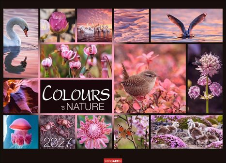 "COLOURS of NATURE 2027". Verschiedene Naturfotos, darunter Blumen, Vögel, ein Schmetterling und ein Schwarm Vögel im Wasser.