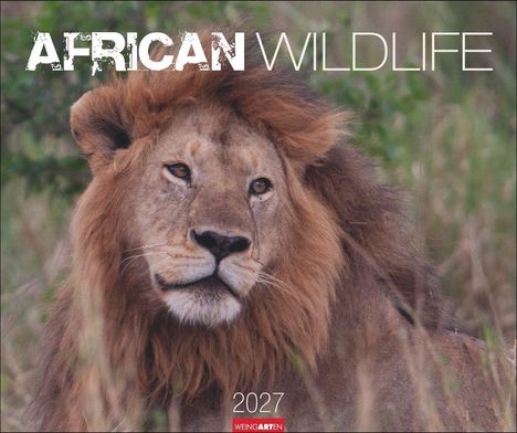 Text "AFRICAN WILDLIFE" oben und "2027" unten. Ein Löwe schaut aufmerksam in die Kamera, umgeben von unscharfem Gras.