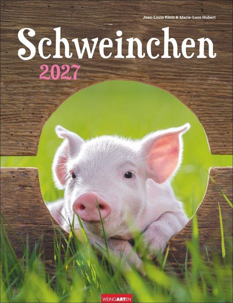 „Schweinchen 2027“ in weiß und pink. Junges Schwein schaut durch Holzöffnung ins Grüne. Logo „Weingarten“ unten.