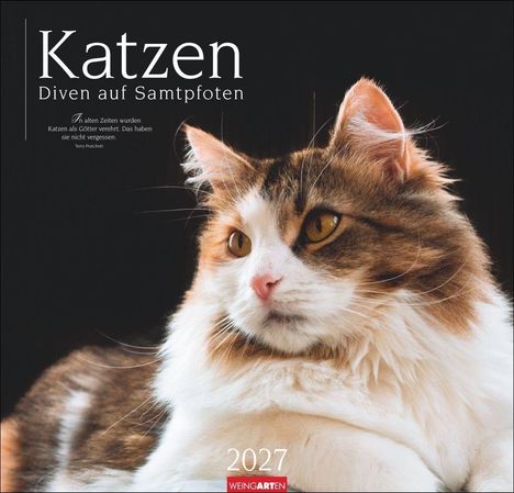 "Katzen: Diven auf Samtpfoten. 'In alten Zeiten wurden Katzen als Götter verehrt.' Terry Pratchett. Jahr: 2027."