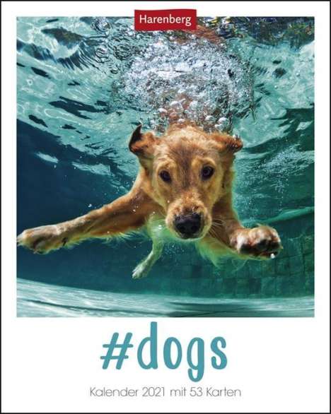 #dogs Kalender 2020, Diverse