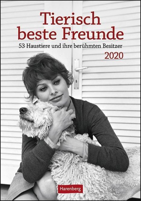 Brigitte Ebersbach: Tierisch beste Freunde Kalender 2020, Diverse