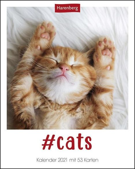 #cats Kalender 2021, Kalender